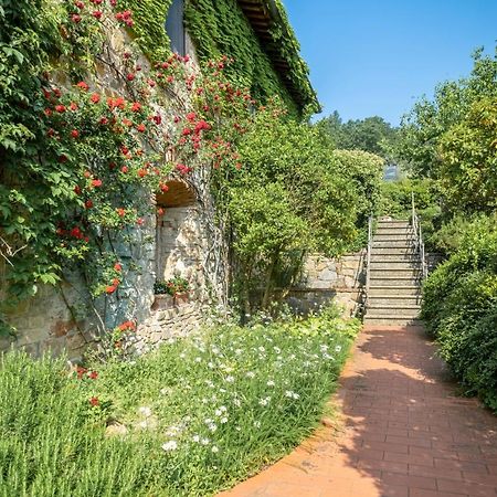 Bed and Breakfast Terre Di Baccio Греве-ин-Кьянти Экстерьер фото